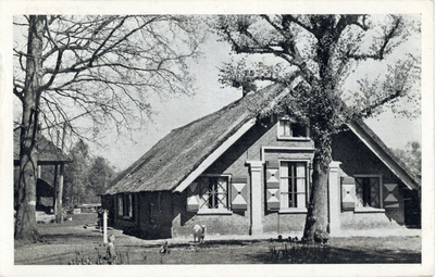13647 Gezicht op de voorgevel van de boerderij Het Blauwe Huis (Woudenbergseweg 42) te Maarsbergen (gemeente Maarn). ...
